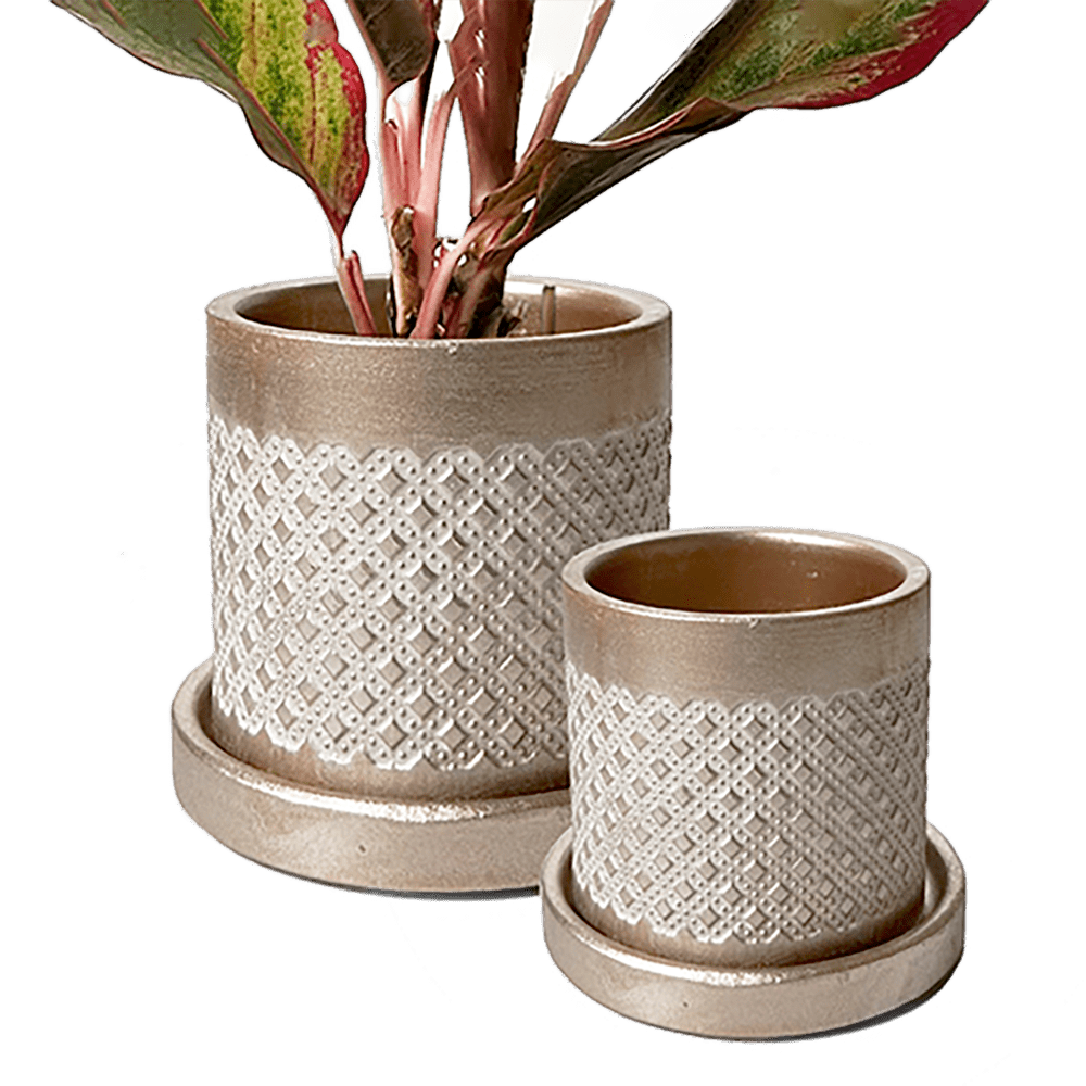 Balter Ceramic Pot And Saucer Set - Chive UK