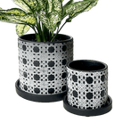 Balter Ceramic Pot And Saucer Set - Chive UK