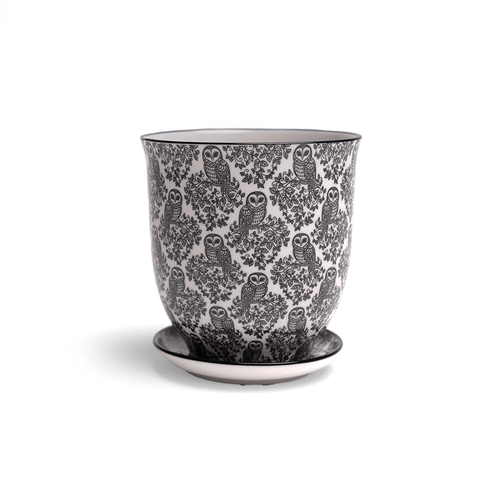 Liberte Porcelain Pot And Saucer Set With Drainage - Chive UK