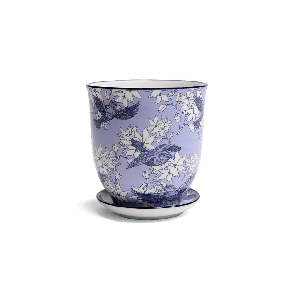 Liberte Porcelain Pot And Saucer Set With Drainage - Chive UK