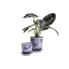 Liberte Porcelain Pot And Saucer Set With Drainage - Chive UK