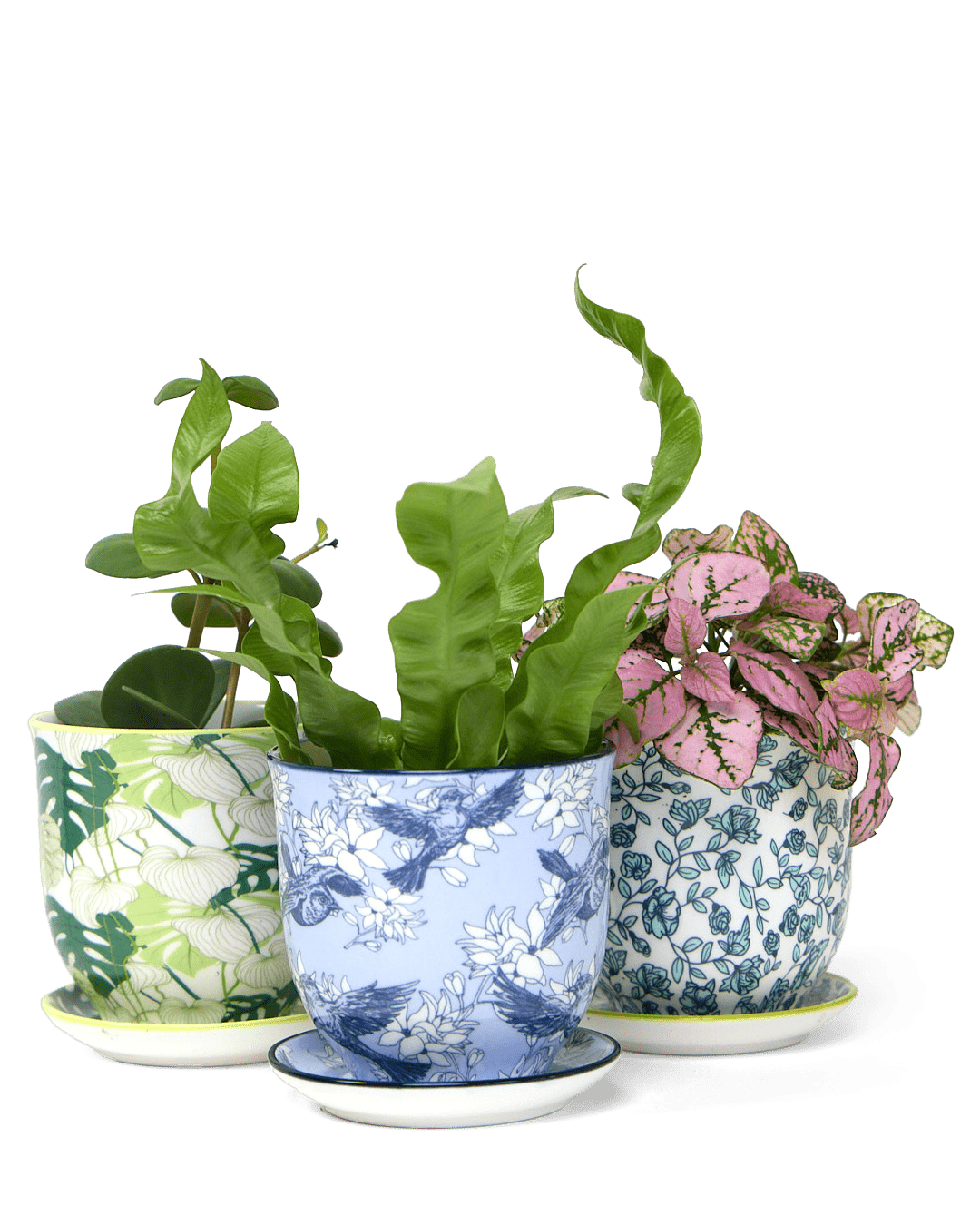 Liberte Porcelain Pot And Saucer Set With Drainage - Chive UK