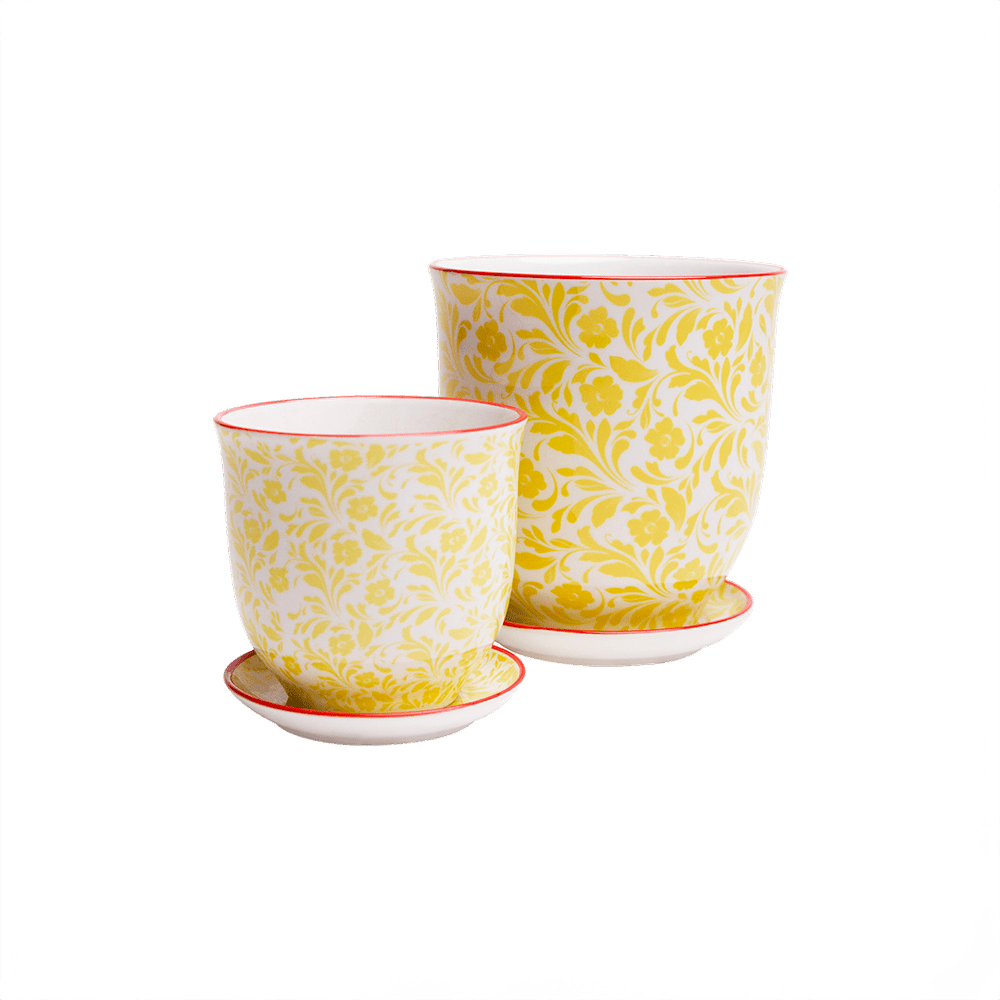 Liberte Porcelain Pot And Saucer Set With Drainage - Chive UK