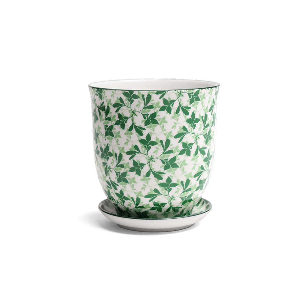 Liberte Porcelain Pot And Saucer Set With Drainage - Chive UK