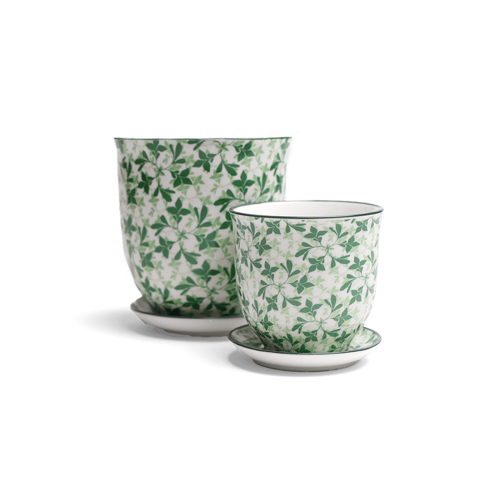 Liberte Porcelain Pot And Saucer Set With Drainage - Chive UK