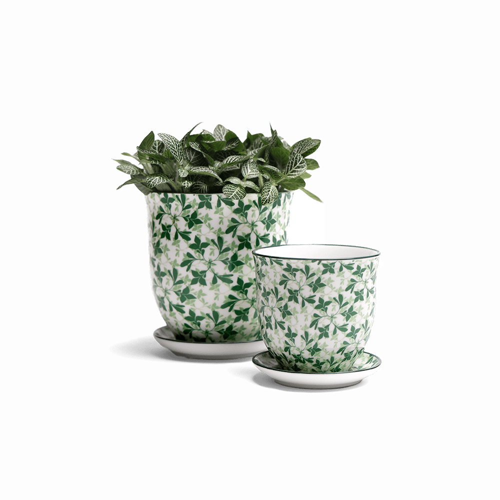 Liberte Porcelain Pot And Saucer Set With Drainage - Chive UK