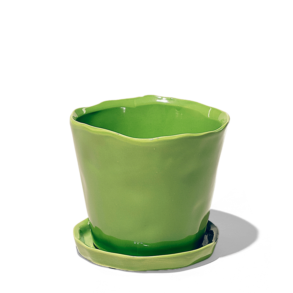 Tika Ceramic Pot & Saucer Set With Drainage - Chive UK