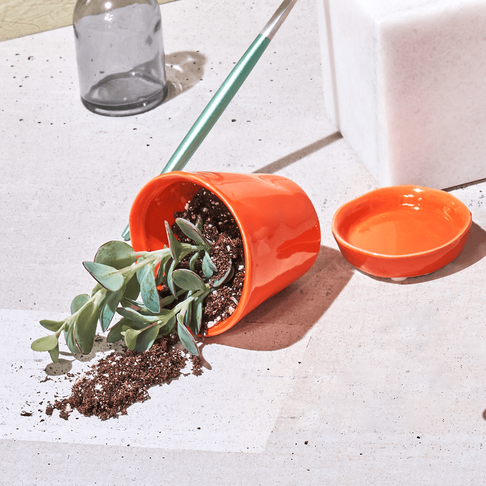 Tika Ceramic Pot & Saucer Set With Drainage - Chive UK