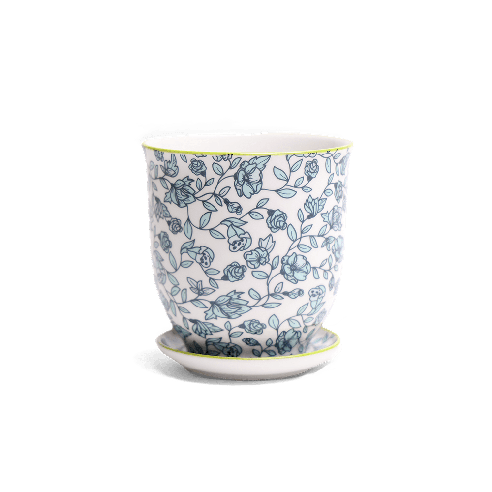 Liberte Porcelain Pot And Saucer Set With Drainage - Chive UK