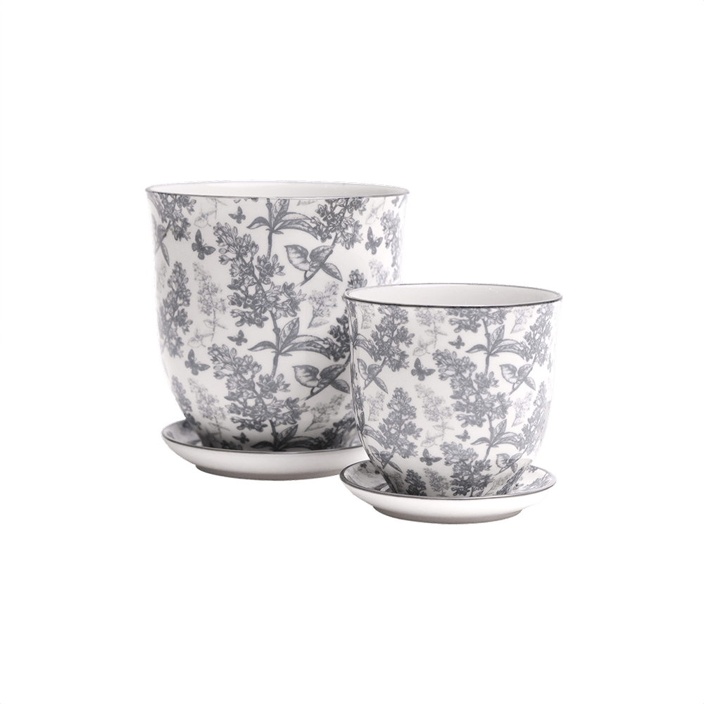 Liberte Porcelain Pot And Saucer Set With Drainage - Chive UK