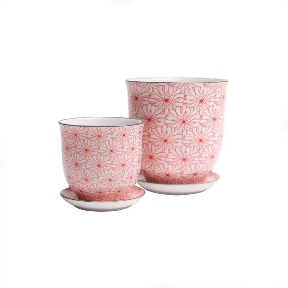 Liberte Porcelain Pot And Saucer Set With Drainage - Chive UK