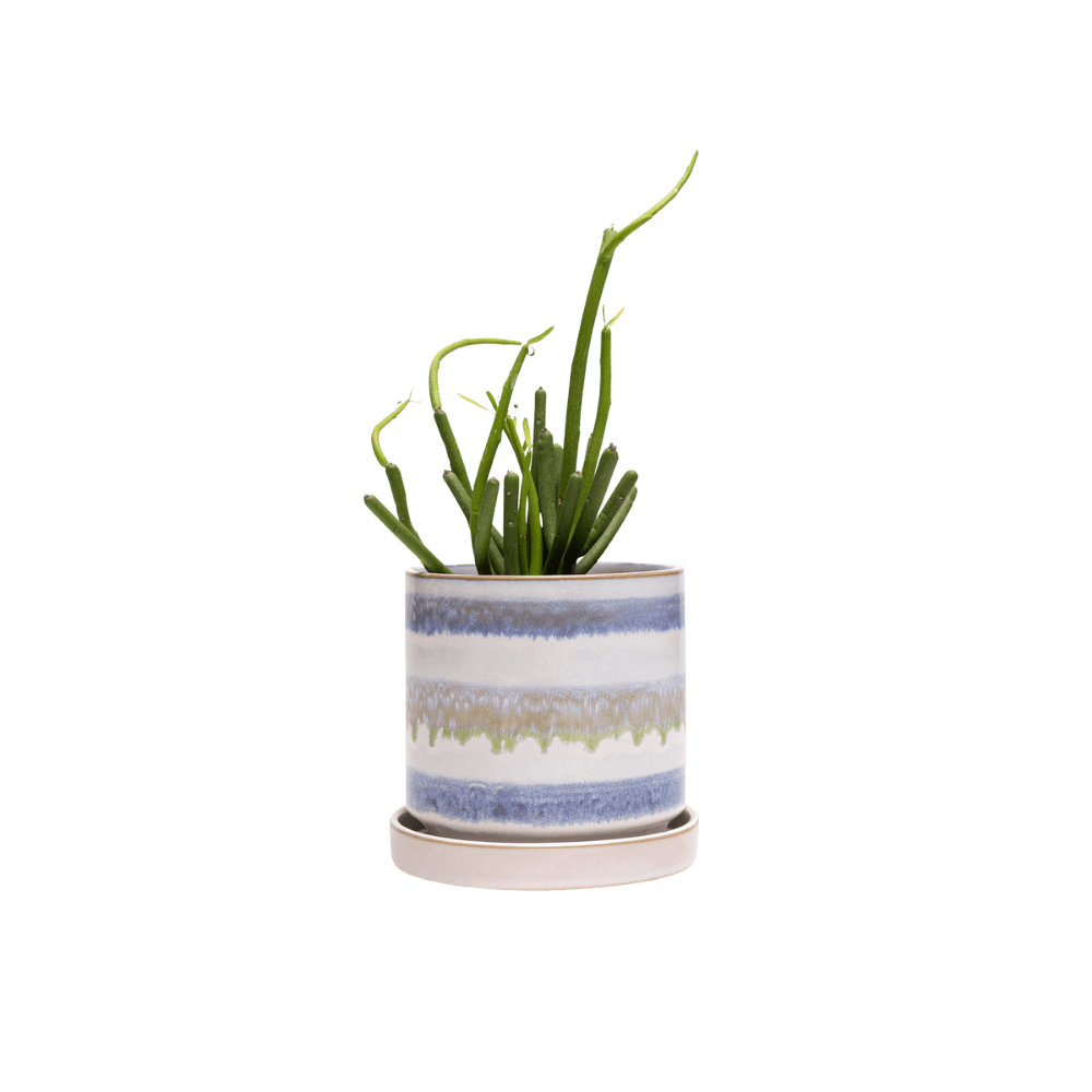 Minute Ceramic Pot And Saucer Set With Drainage - Chive UK