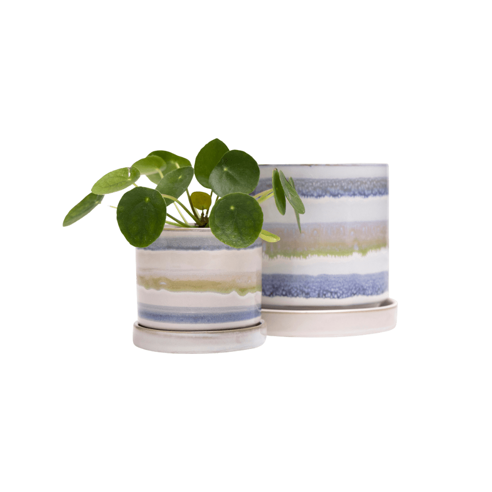 Minute Ceramic Pot And Saucer Set With Drainage - Chive UK