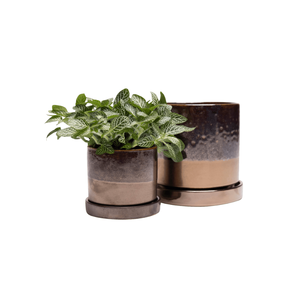 Minute Ceramic Pot And Saucer Set With Drainage - Chive UK