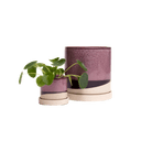 Minute Ceramic Pot And Saucer Set With Drainage - Chive UK