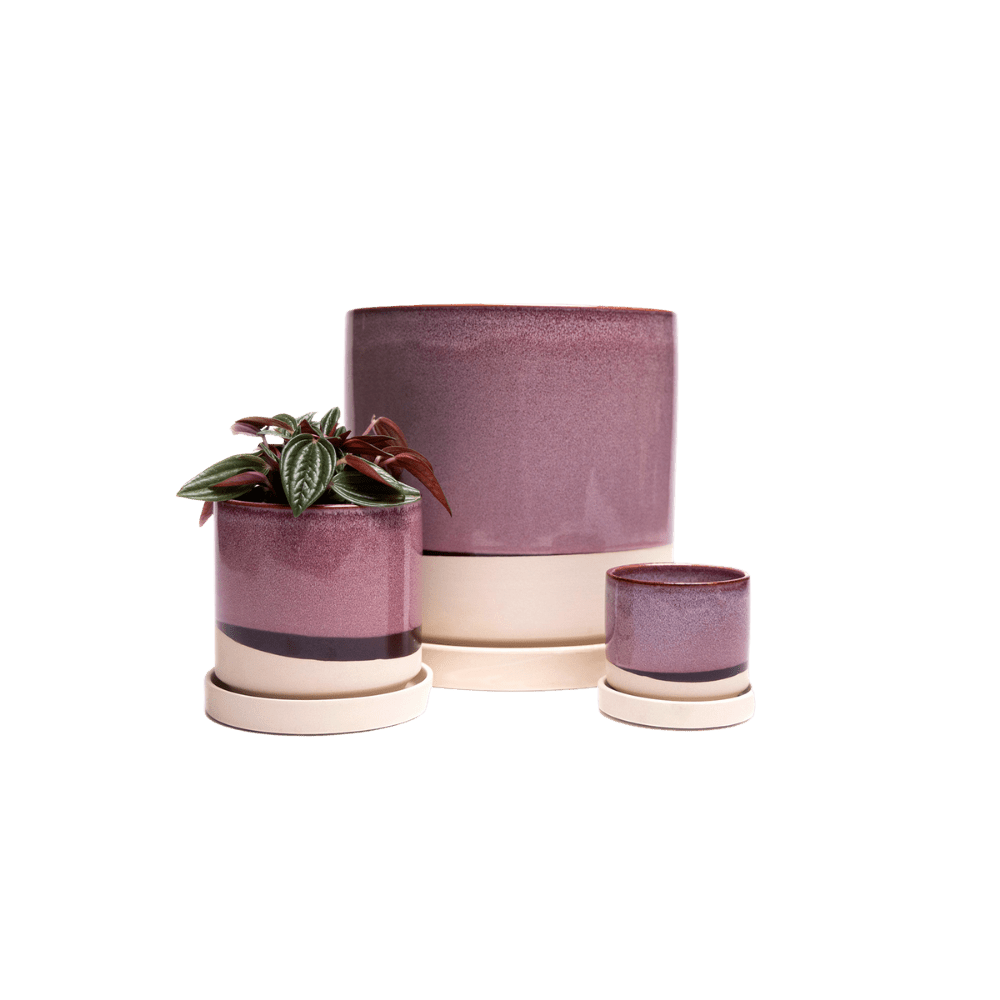 Minute Ceramic Pot And Saucer Set With Drainage - Chive UK