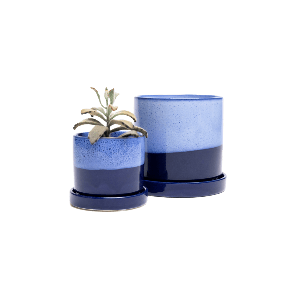 Minute Ceramic Pot And Saucer Set With Drainage - Chive UK