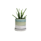 Minute Ceramic Pot And Saucer Set With Drainage - Chive UK