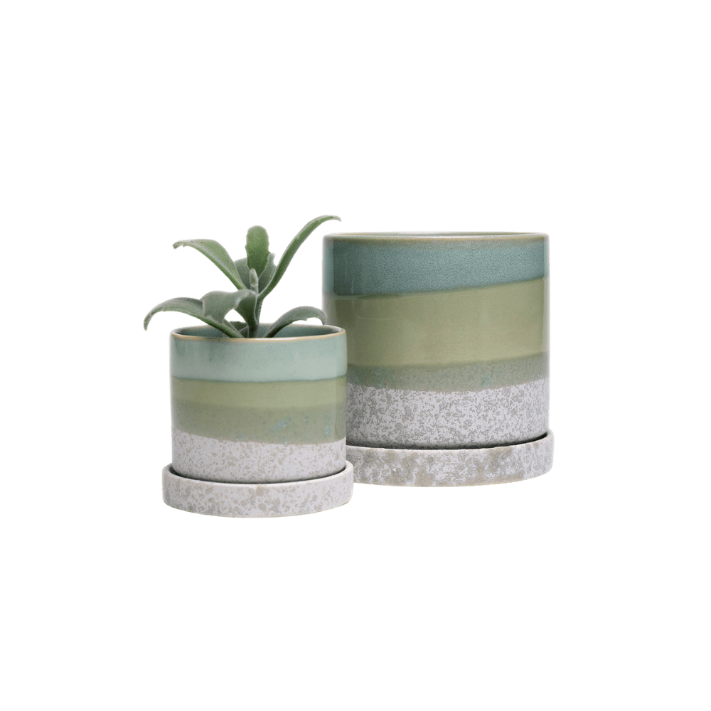 Minute Ceramic Pot And Saucer Set With Drainage - Chive UK