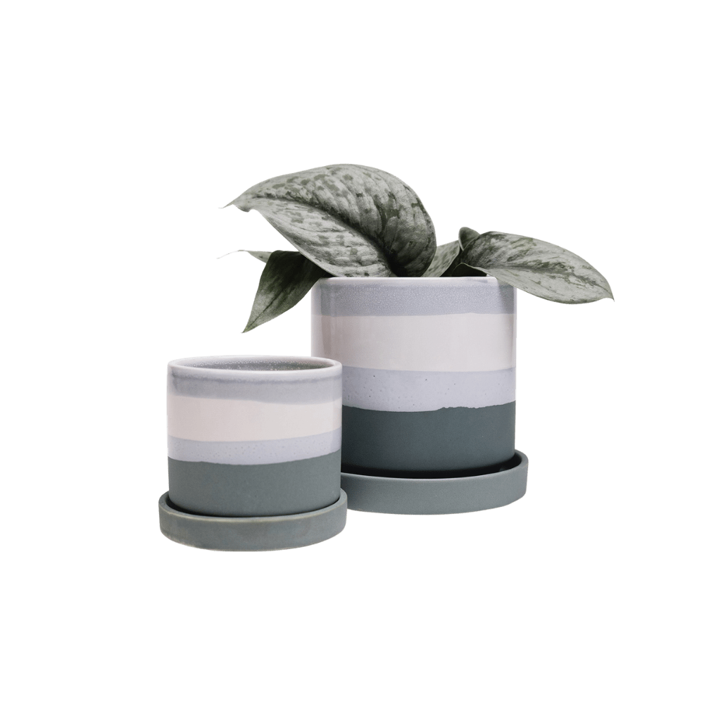 Minute Ceramic Pot And Saucer Set With Drainage - Chive UK