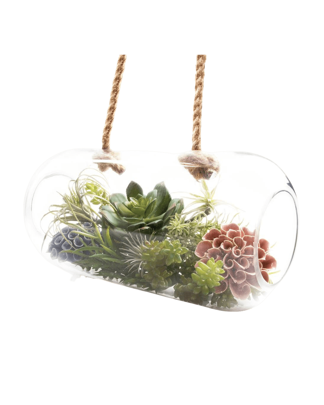 Bolsk Glass Large Hanging Terrarium - Chive UK