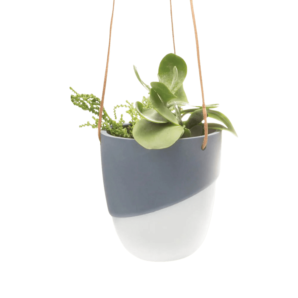 Bobbin Porcelain Modern Hanging Indoor Plant Pot - Chive UK