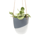 Bobbin Porcelain Modern Hanging Indoor Plant Pot - Chive UK