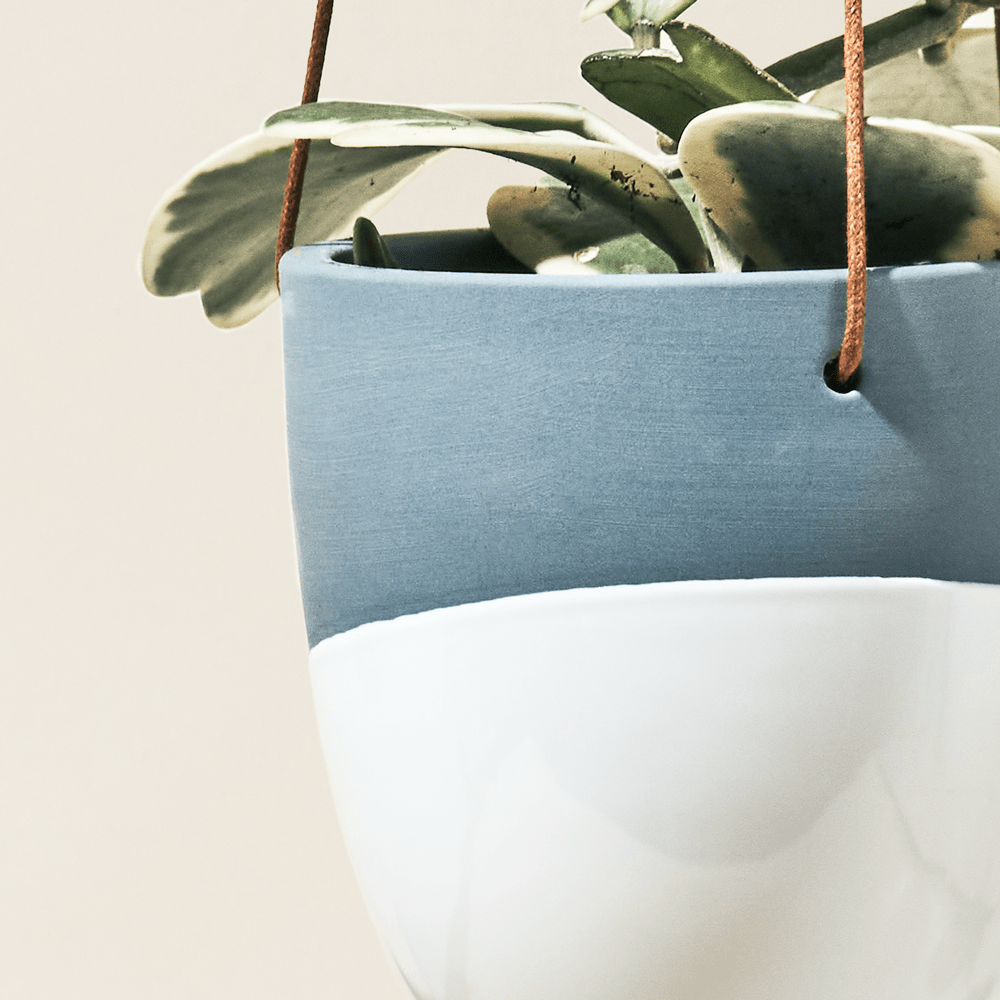 Bobbin Porcelain Modern Hanging Indoor Plant Pot - Chive UK