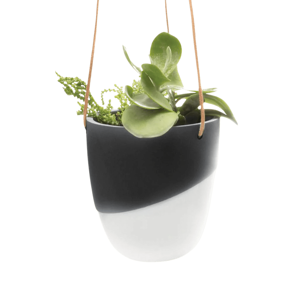 Bobbin Porcelain Modern Hanging Indoor Plant Pot - Chive UK