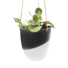 Bobbin Porcelain Modern Hanging Indoor Plant Pot - Chive UK