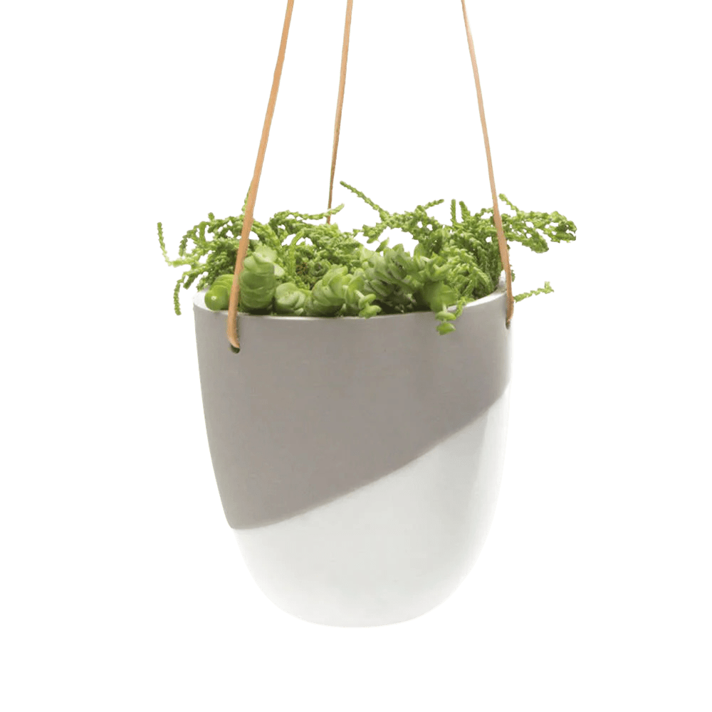 Bobbin Porcelain Modern Hanging Indoor Plant Pot - Chive UK