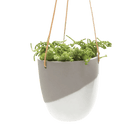 Bobbin Porcelain Modern Hanging Indoor Plant Pot - Chive UK