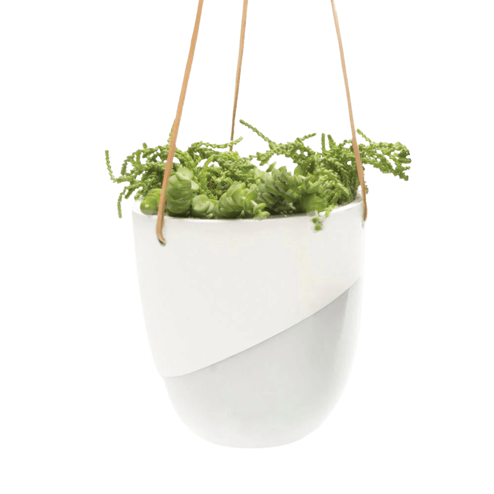 Bobbin Porcelain Modern Hanging Indoor Plant Pot - Chive UK