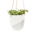 Bobbin Porcelain Modern Hanging Indoor Plant Pot - Chive UK