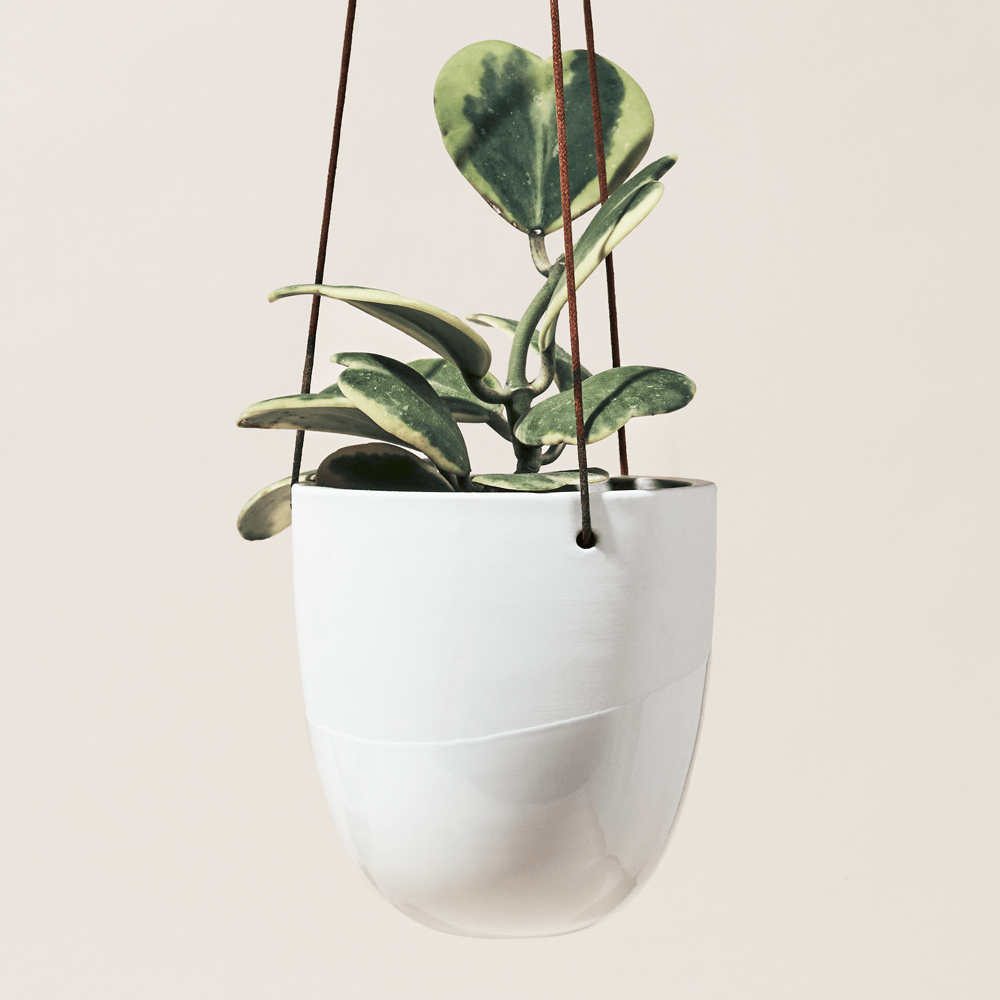 Bobbin Porcelain Modern Hanging Indoor Plant Pot - Chive UK