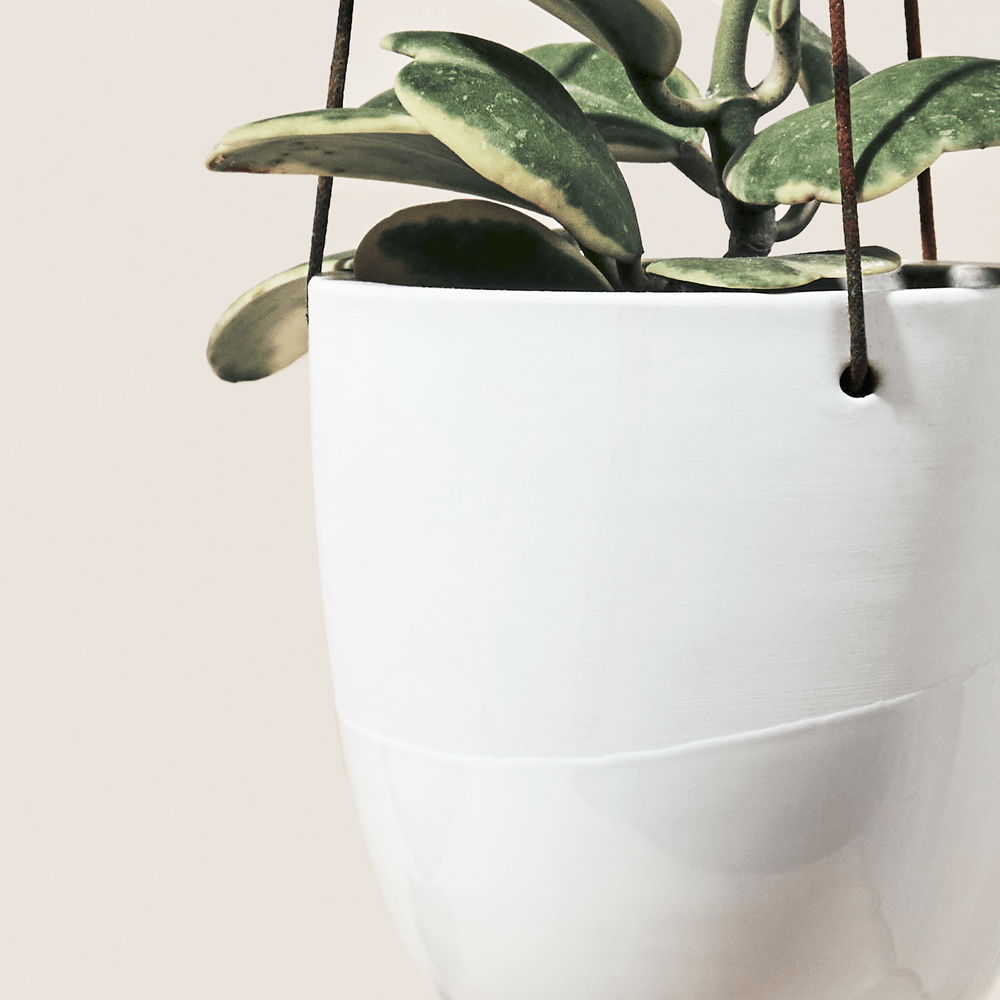 Bobbin Porcelain Modern Hanging Indoor Plant Pot - Chive UK