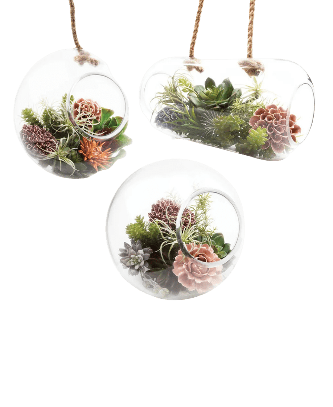 Bolsk Glass Large Hanging Terrarium - Chive UK