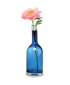 Bottle Glass Decorative Flower Vase - Chive UK