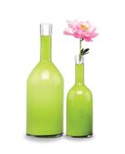 Bottle Glass Decorative Flower Vase - Chive UK