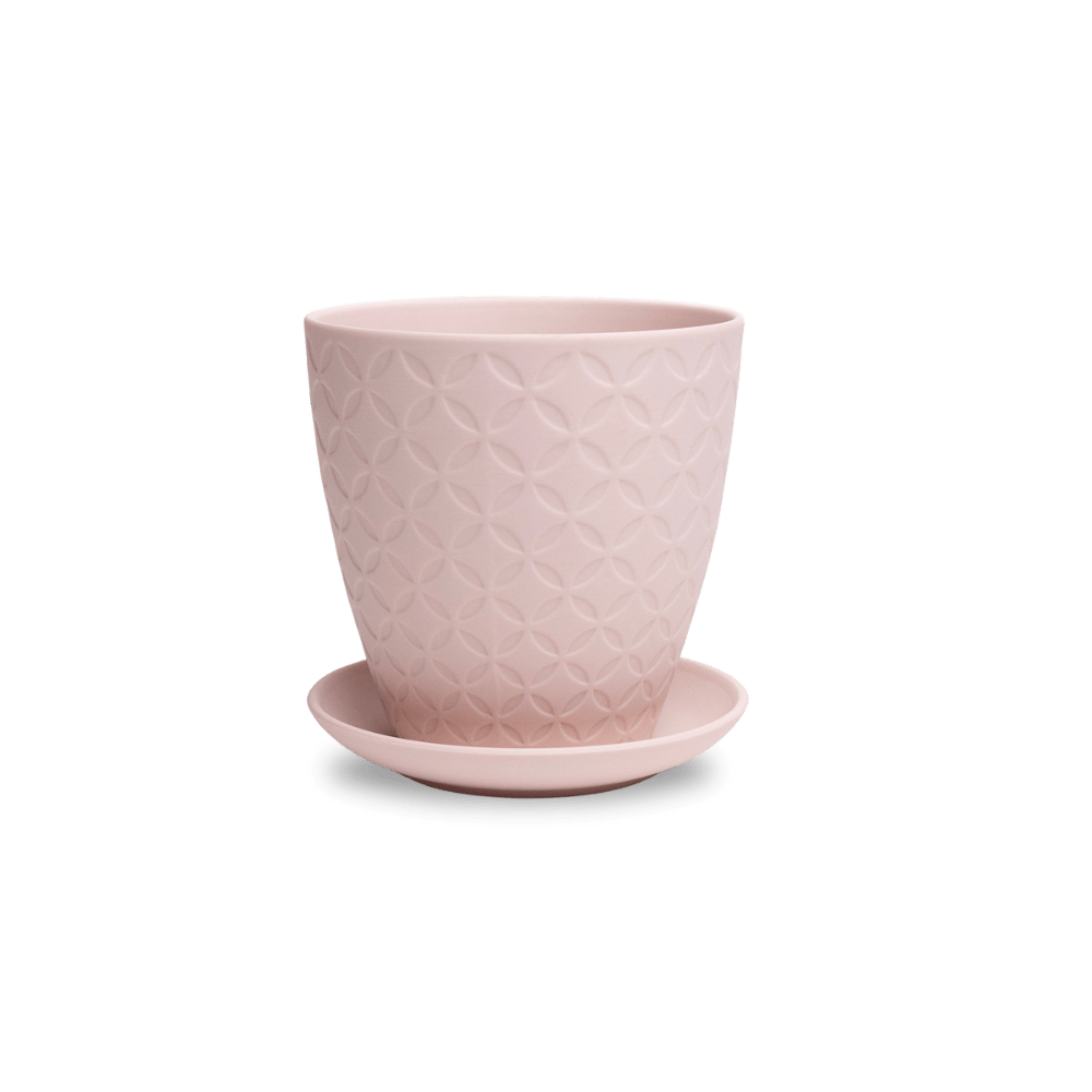 Virago 5" Porcelain Pot With Drainage Hole And Saucer - Chive UK