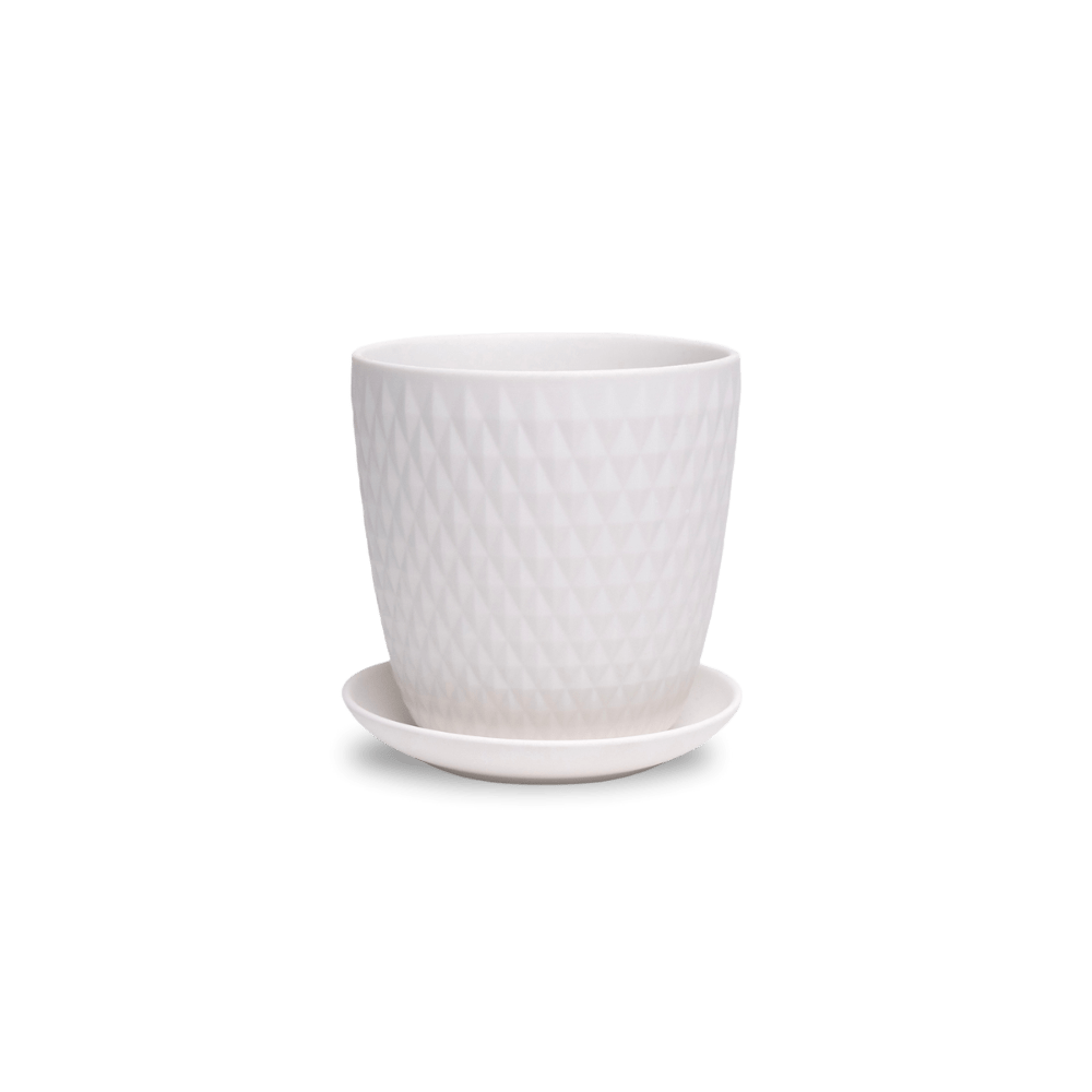 Virago 5" Porcelain Pot With Drainage Hole And Saucer - Chive UK