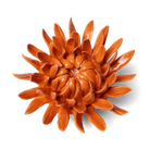 Ceramic Flower Mum Orange 11 - Chive UK