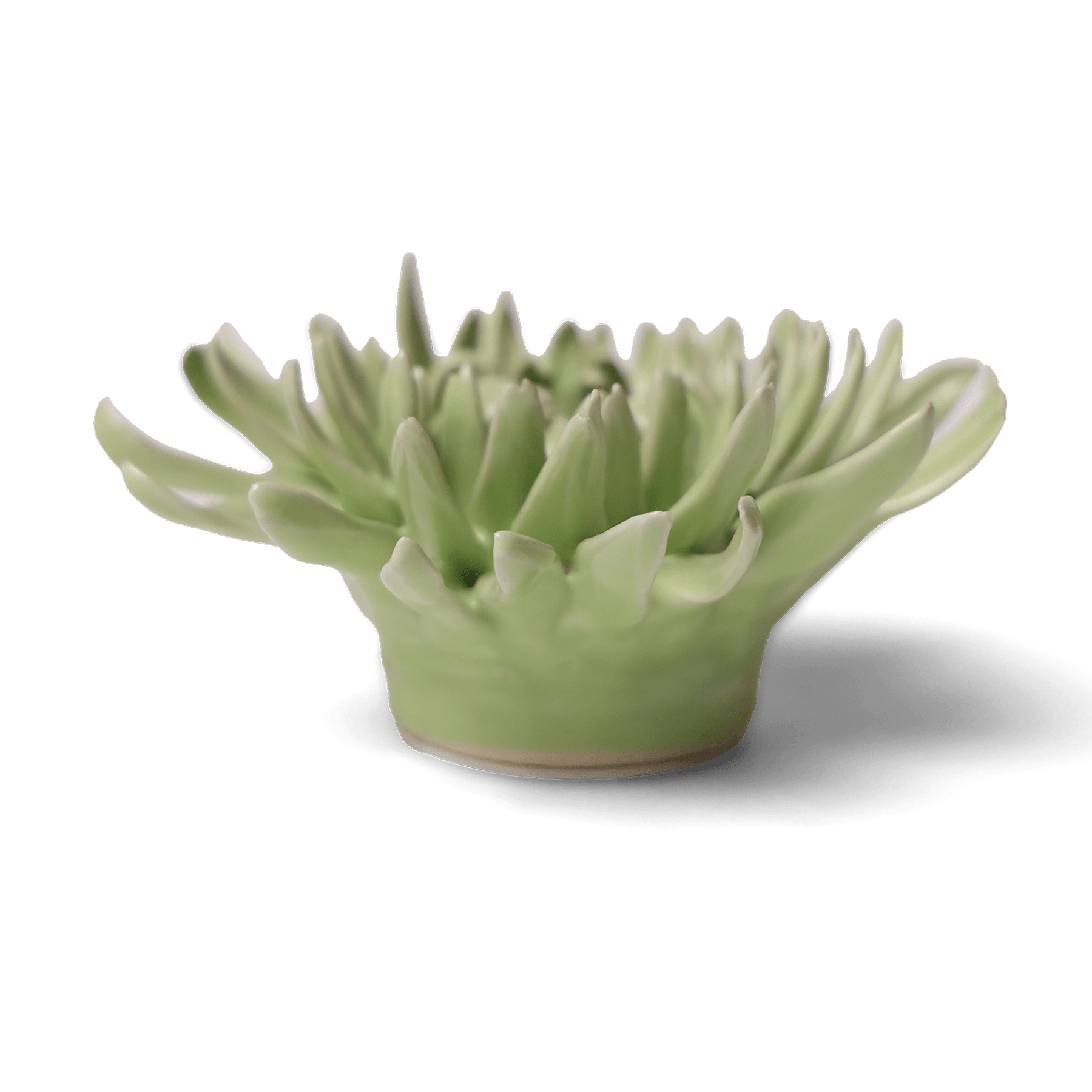 Ceramic Flower - Flower Green 12 - Chive UK