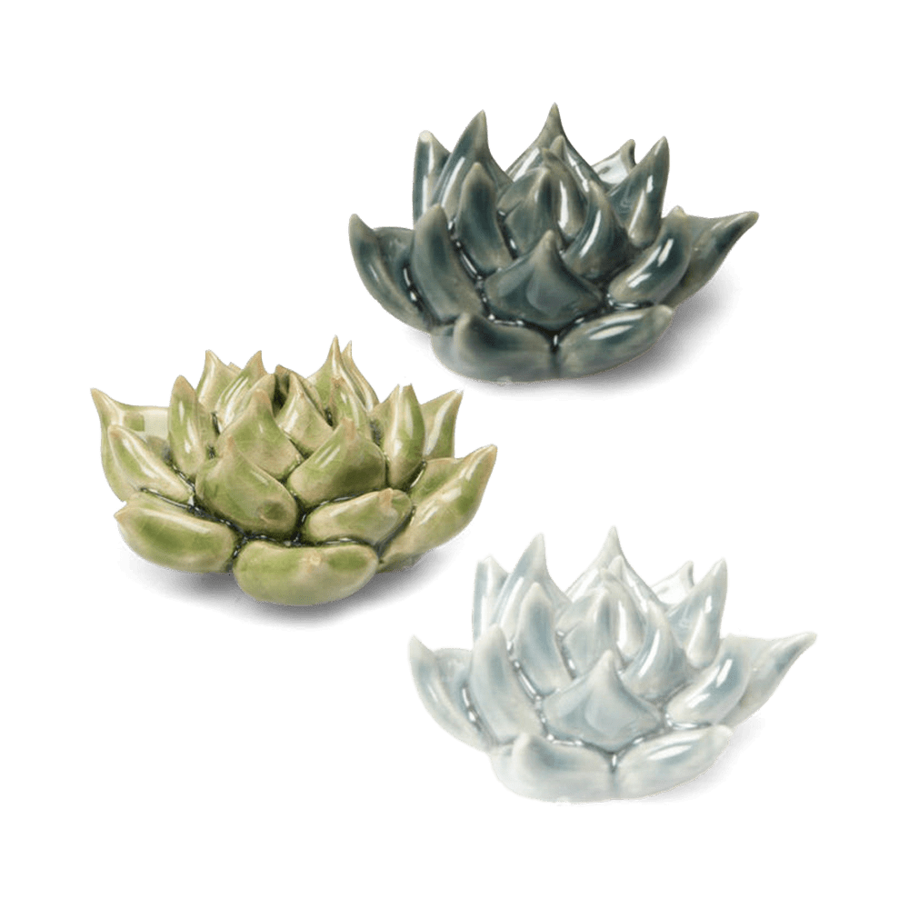 Ceramic Flower Tabletop Art Set of 3 Succulents - Chive UK