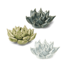 Ceramic Flower Tabletop Art Set of 3 Succulents - Chive UK