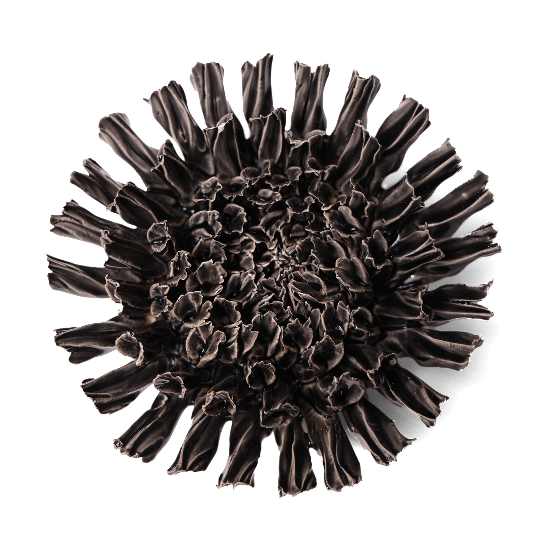 Ceramic Flower Fractal Black 5 - Chive UK