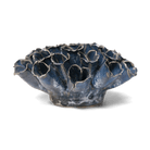 Ceramic Flower Polyp Blue 6 - Chive UK