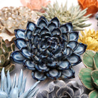 Ceramic Flower Succulent Blue 6 - Chive UK