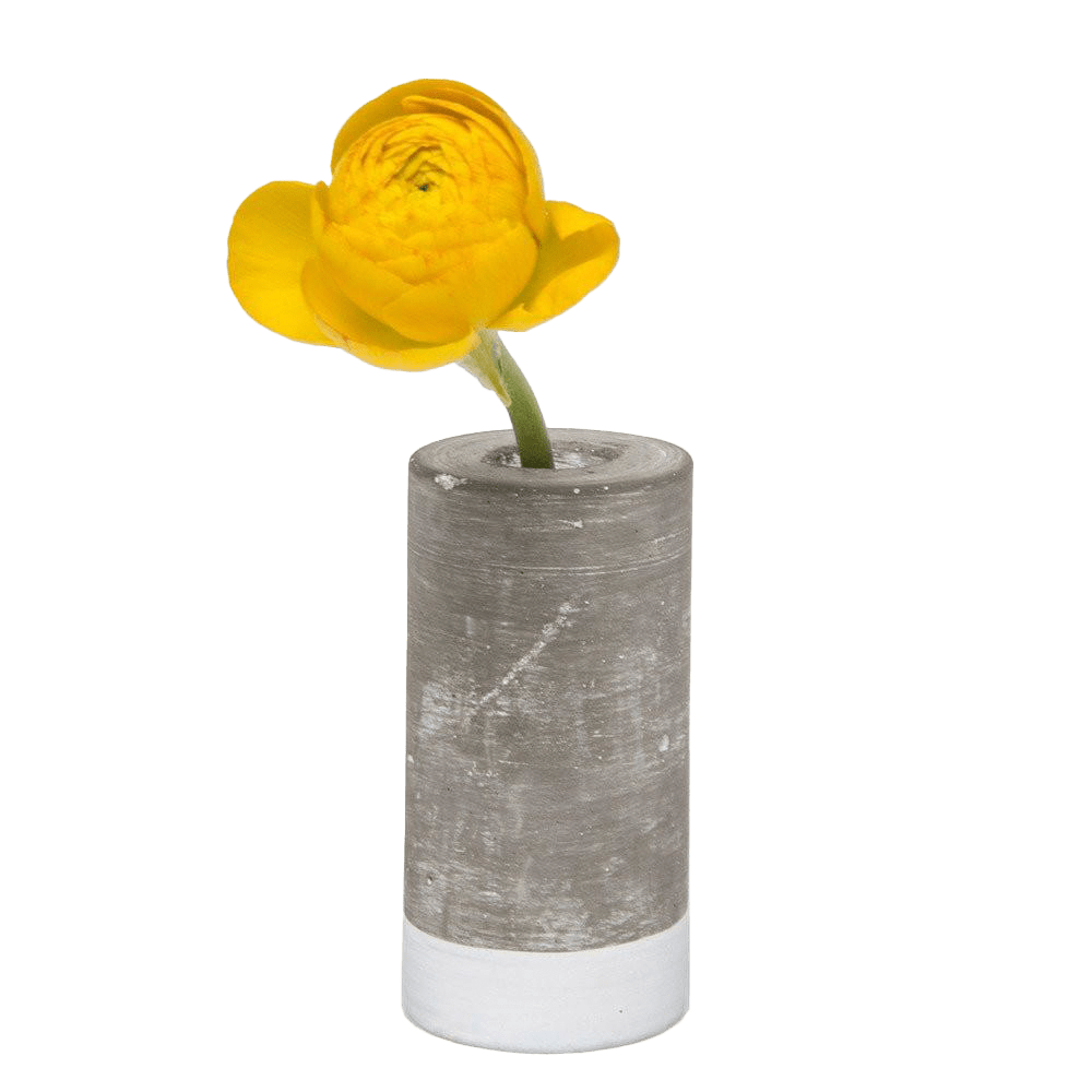 Cement Flower Vase Lined With Glass Tube - Chive UK