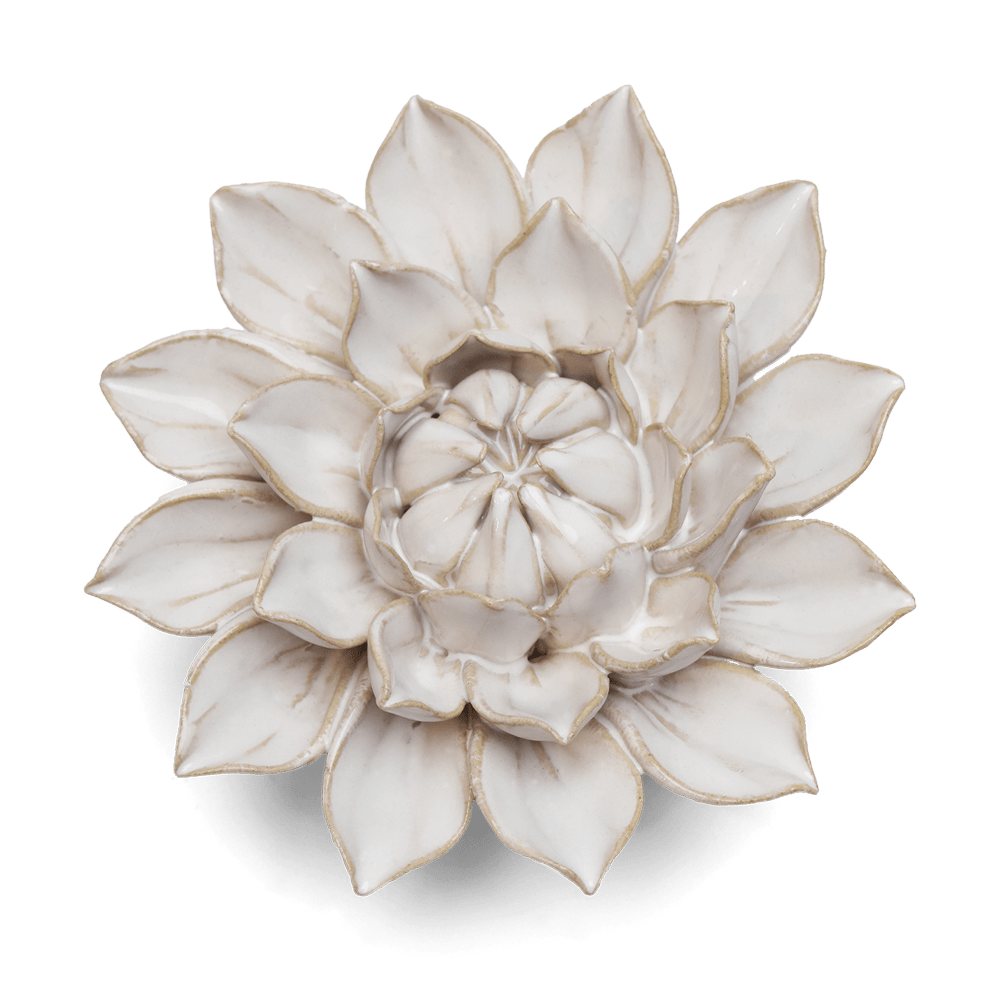 Coastal Ceramic Flower Ivory Dahlia - Chive UK